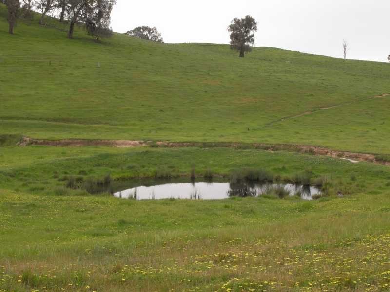 237 Gocup Farms Road, Tumut NSW 2720