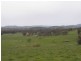 237 Gocup Farms Road, Tumut NSW 2720