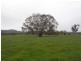 237 Gocup Farms Road, Tumut NSW 2720
