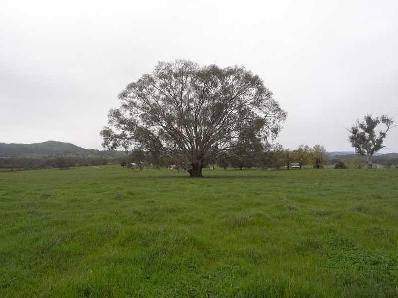 237 Gocup Farms Road, Tumut NSW 2720