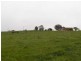 237 Gocup Farms Road, Tumut NSW 2720