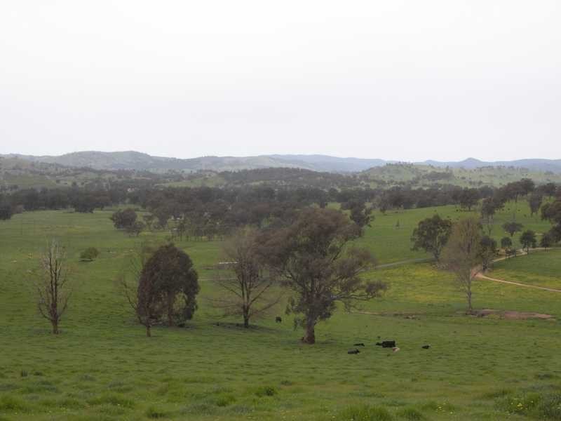 237 Gocup Farms Road, Tumut NSW 2720