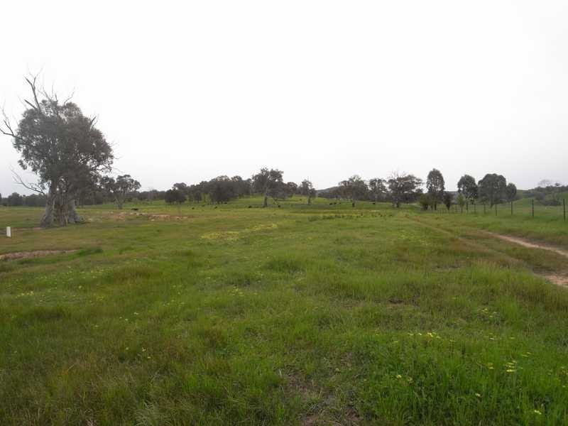 237 Gocup Farms Road, Tumut NSW 2720