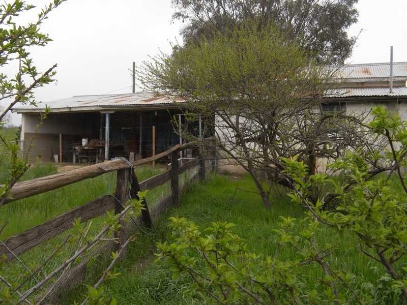 237 Gocup Farms Road, Tumut NSW 2720