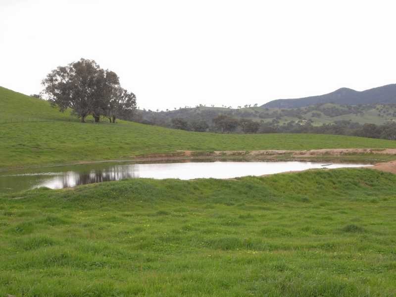 237 Gocup Farms Road, Tumut NSW 2720