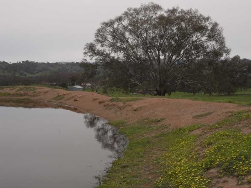 237 Gocup Farms Road, Tumut NSW 2720