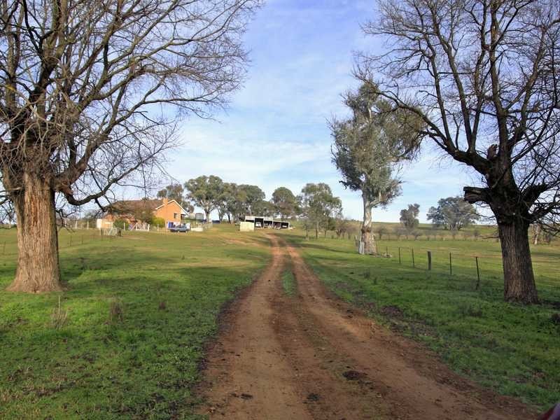 237 Gocup Farms Road, Tumut NSW 2720