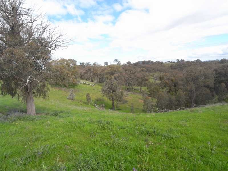Lot/3 Gocup Road, Gundagai NSW 2722