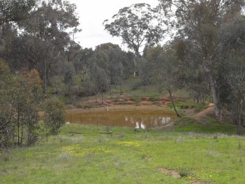 Lot/3 Gocup Road, Gundagai NSW 2722