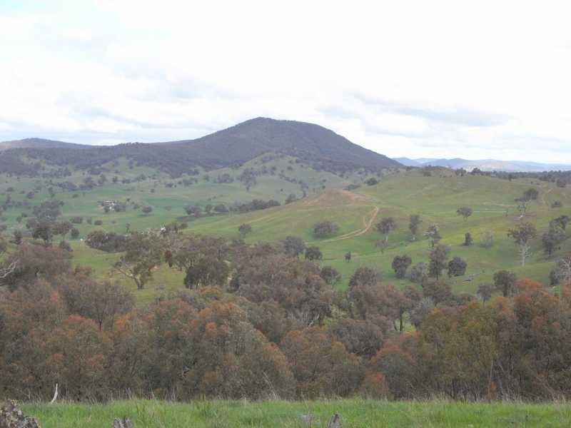 Lot/3 Gocup Road, Gundagai NSW 2722