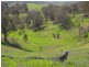 Lot/3 Gocup Road, Gundagai NSW 2722