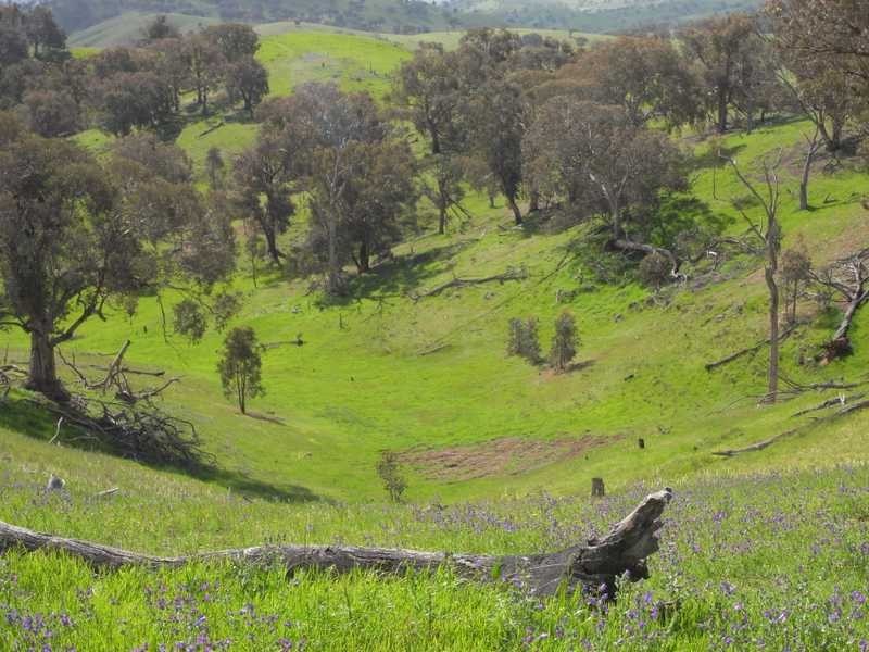 Lot/3 Gocup Road, Gundagai NSW 2722