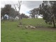 Lot/3 Gocup Road, Gundagai NSW 2722