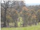 Lot/3 Gocup Road, Gundagai NSW 2722