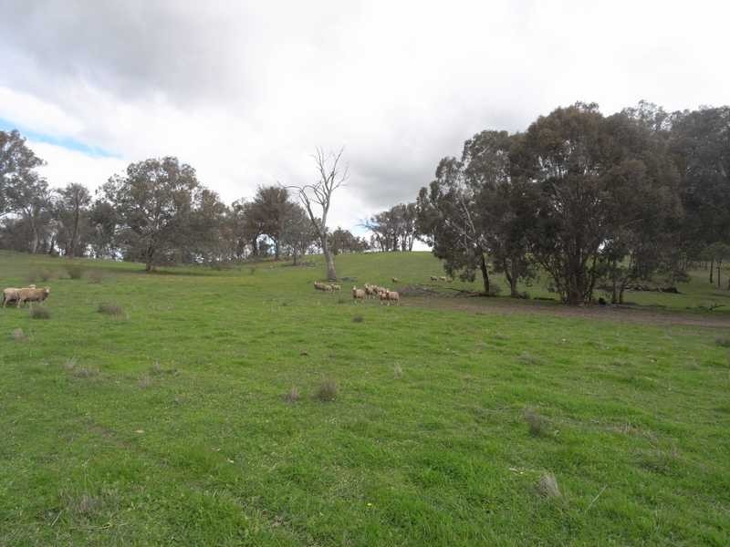 Lot/3 Gocup Road, Gundagai NSW 2722