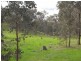 Lot/3 Gocup Road, Gundagai NSW 2722