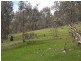 Lot/3 Gocup Road, Gundagai NSW 2722