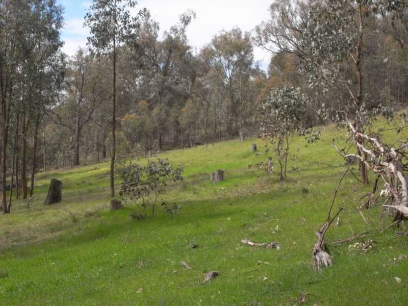 Lot/3 Gocup Road, Gundagai NSW 2722