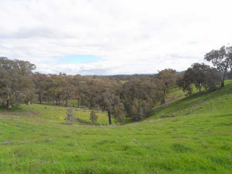 Lot/3 Gocup Road, Gundagai NSW 2722