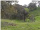 Lot/3 Gocup Road, Gundagai NSW 2722