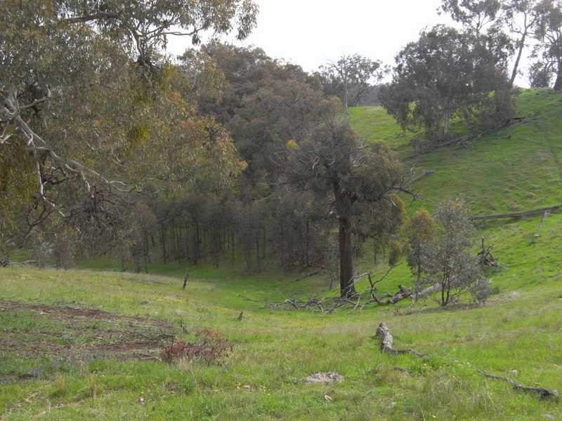 Lot/3 Gocup Road, Gundagai NSW 2722