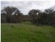 Lot/3 Gocup Road, Gundagai NSW 2722