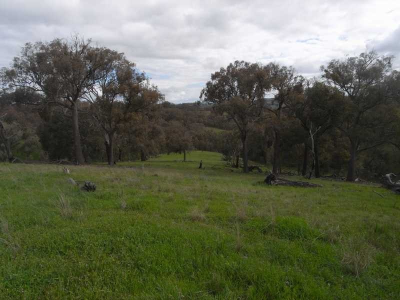 Lot/3 Gocup Road, Gundagai NSW 2722
