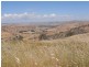 Lot 3/120 Reno Road, Gundagai NSW 2722