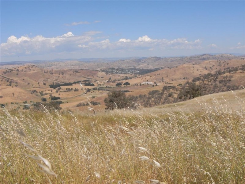 Lot 3/120 Reno Road, Gundagai NSW 2722