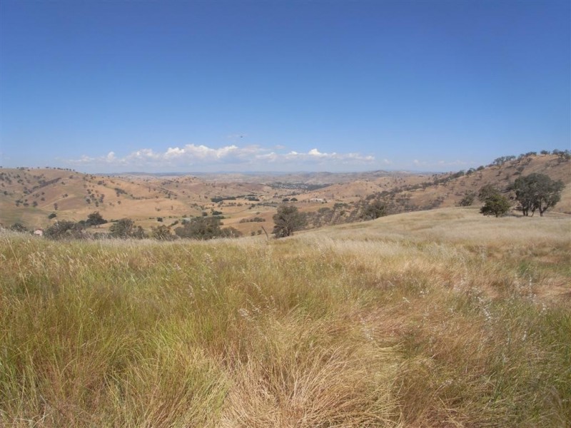 Lot 3/120 Reno Road, Gundagai NSW 2722