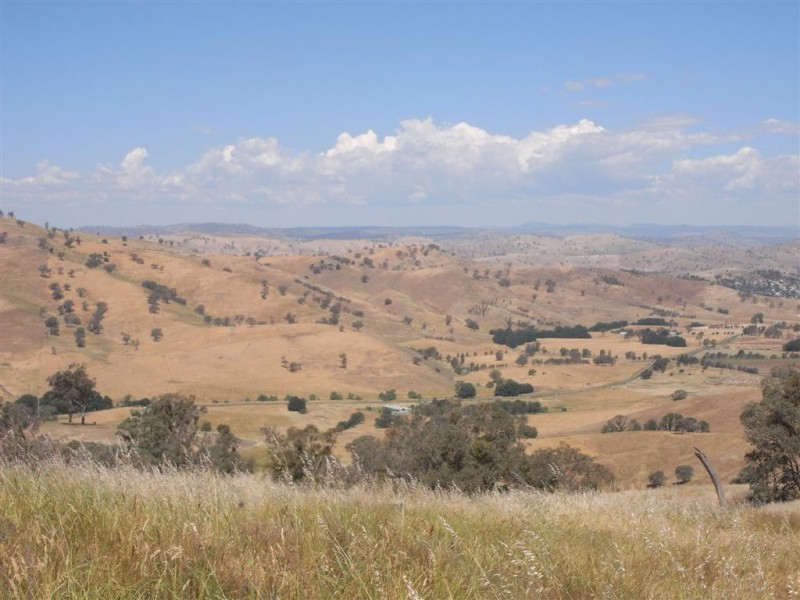 Lot 3/120 Reno Road, Gundagai NSW 2722