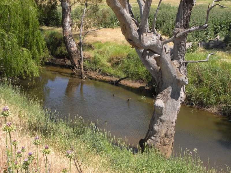 Yolondo Muttama Creek Flats, Muttama NSW 2722