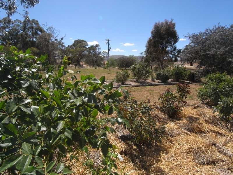 Yolondo Muttama Creek Flats, Muttama NSW 2722