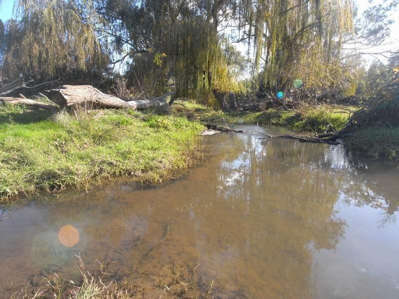 Lot/1 Adelong Road, Tumblong NSW 2729