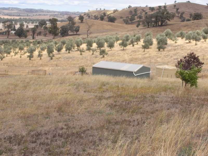 1406 Nangus Road, Gundagai NSW 2722