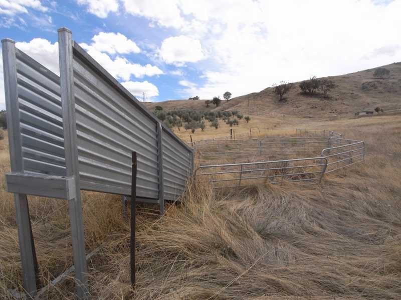 1406 Nangus Road, Gundagai NSW 2722