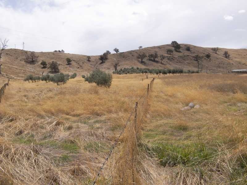 1406 Nangus Road, Gundagai NSW 2722