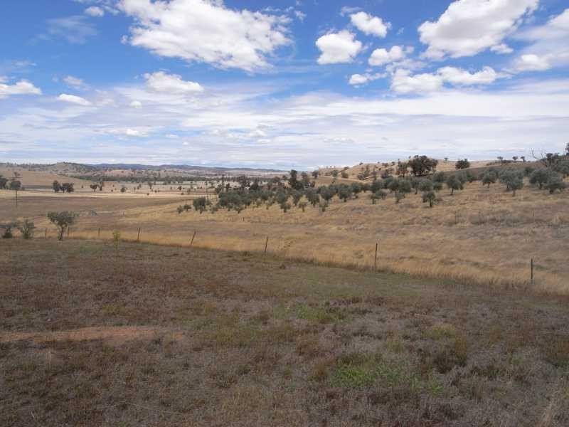 1406 Nangus Road, Gundagai NSW 2722