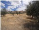 1406 Nangus Road, Gundagai NSW 2722