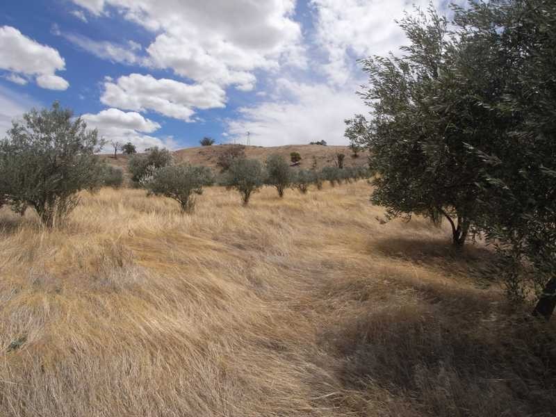 1406 Nangus Road, Gundagai NSW 2722