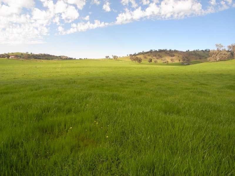 5 Mile Creek Road, Gundagai NSW 2722
