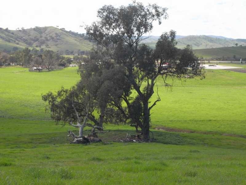 5 Mile Creek Road, Gundagai NSW 2722