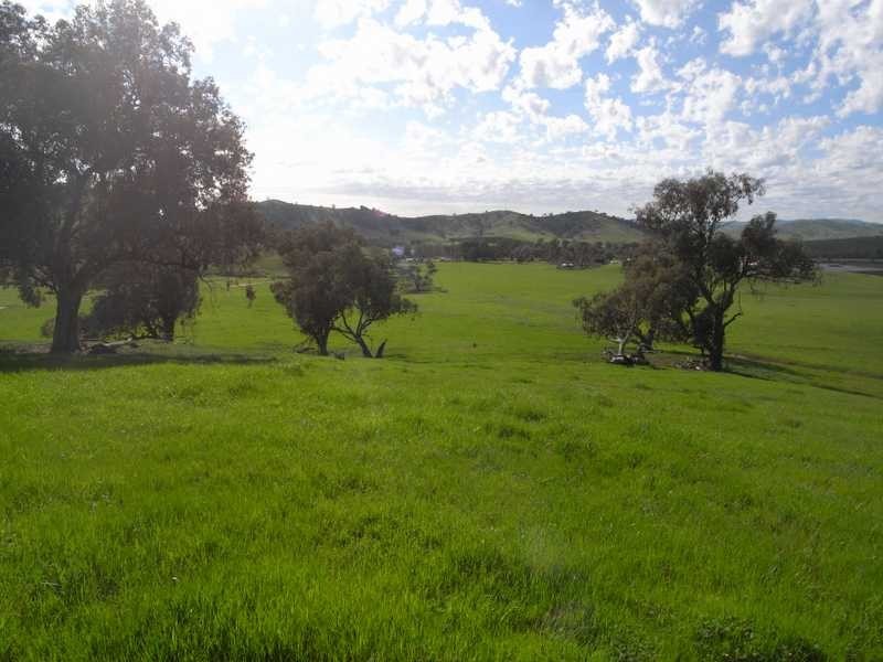 5 Mile Creek Road, Gundagai NSW 2722
