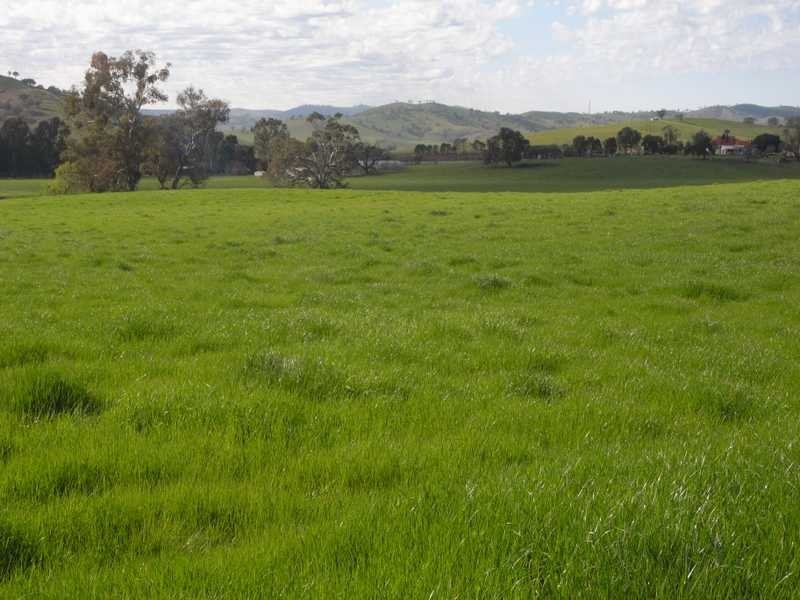 5 Mile Creek Road, Gundagai NSW 2722