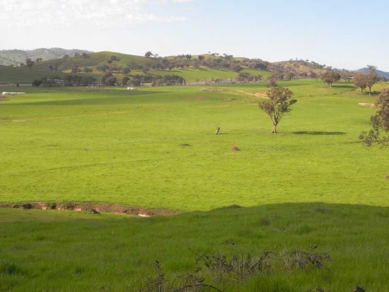 5 Mile Creek Road, Gundagai NSW 2722