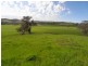 5 Mile Creek Road, Gundagai NSW 2722