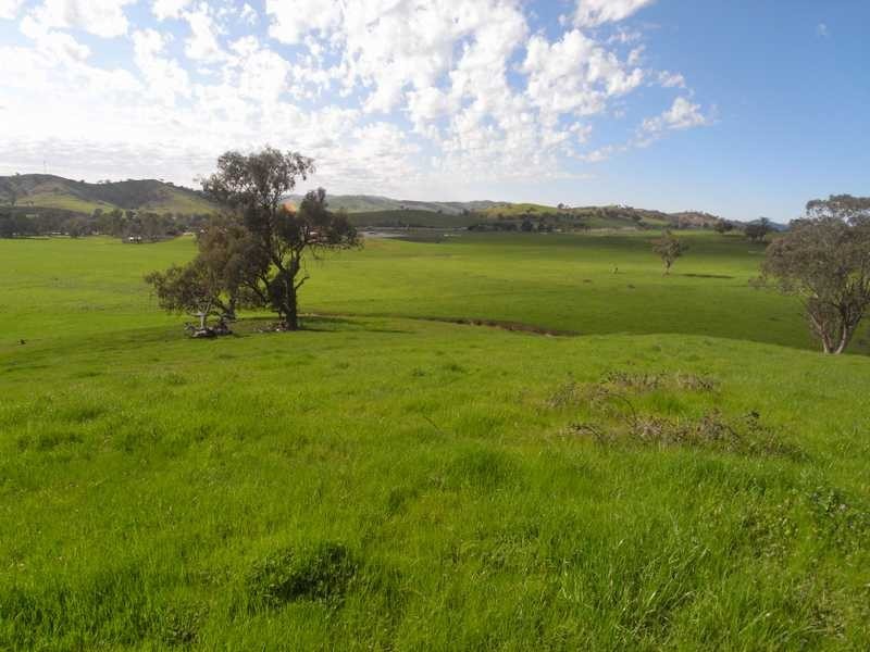 5 Mile Creek Road, Gundagai NSW 2722