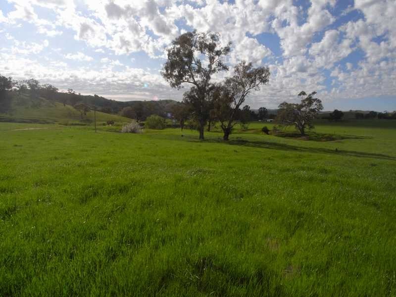 5 Mile Creek Road, Gundagai NSW 2722