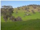 5 Mile Creek Road, Gundagai NSW 2722