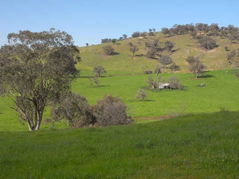 5 Mile Creek Road, Gundagai NSW 2722